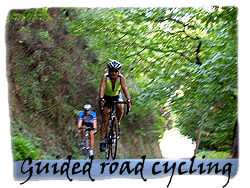 Guided-road-cycling