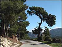 Route