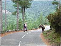 Route