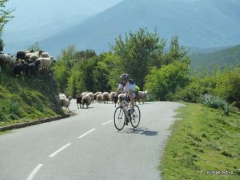 Vélo Corse du Sud